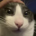 gghunter